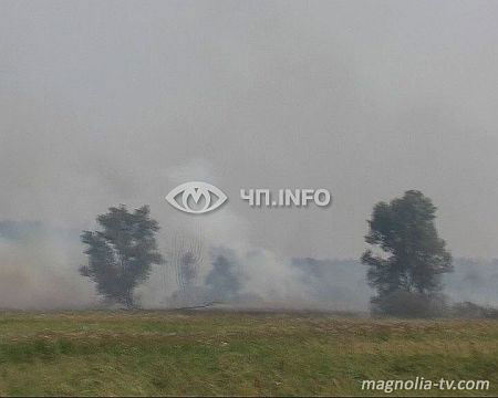 На Чернігівщині все ще горять торфовища. Фото